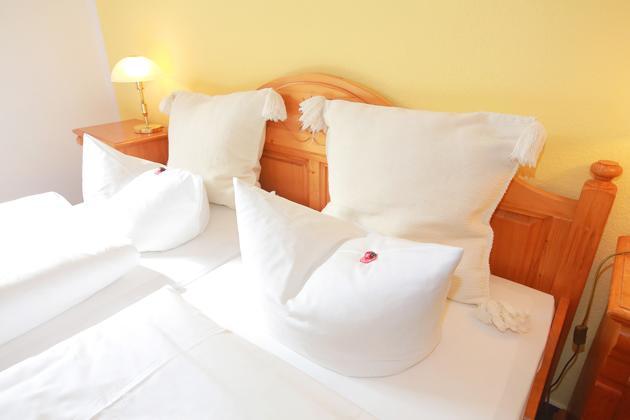 Hotel In Der Muehle Werdau Rum bild