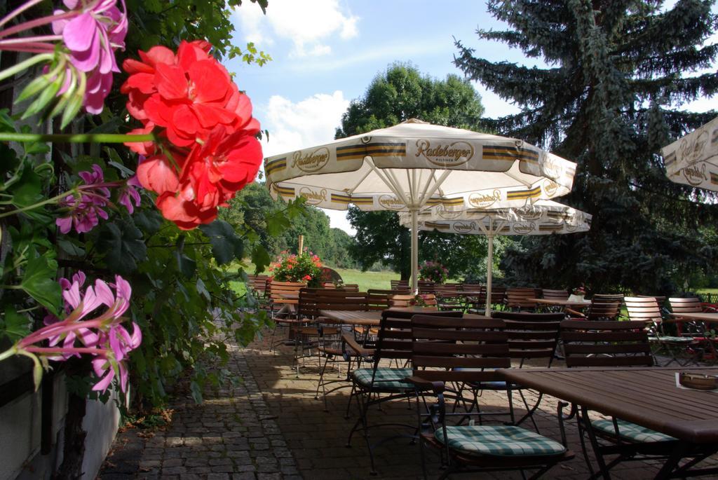 Hotel In Der Muehle Werdau Exteriör bild